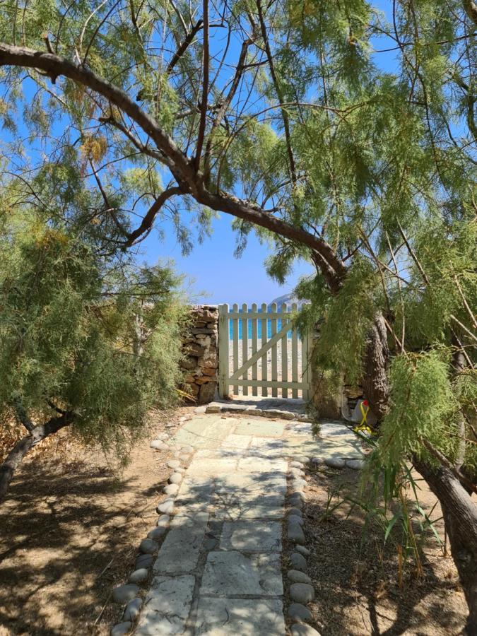 Nature Eco Living Serifos Livadi  Екстер'єр фото